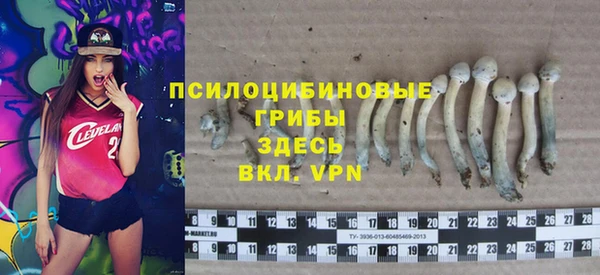 2c-b Богданович